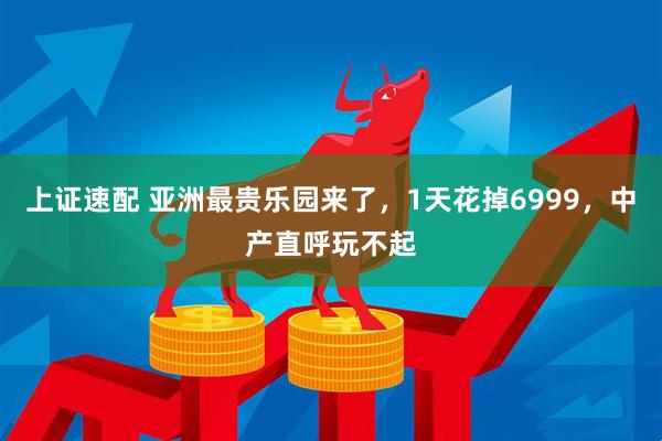 上证速配 亚洲最贵乐园来了，1天花掉6999，中产直呼玩不起