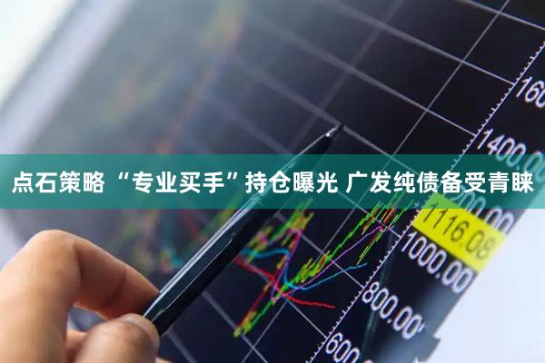 点石策略 “专业买手”持仓曝光 广发纯债备受青睐